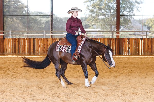 A young rider performs a spin on a chestnut horse, a signature move in reining