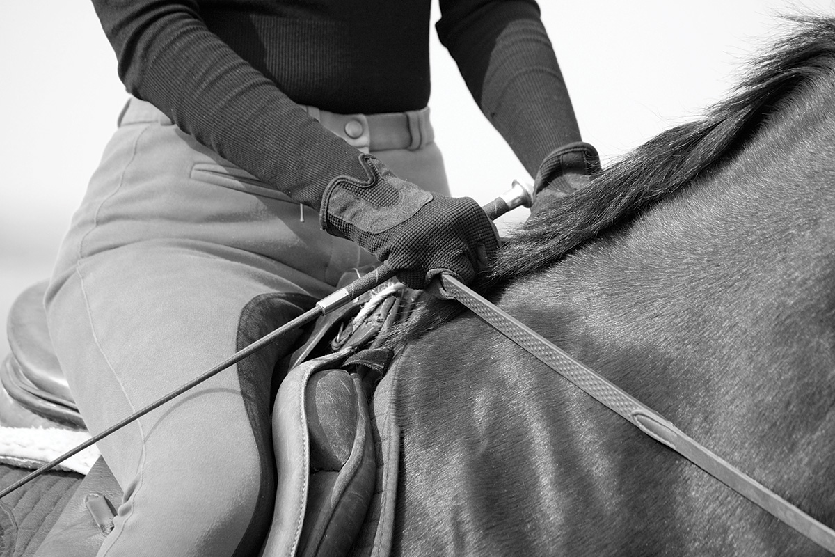 Choosing the Right Reins