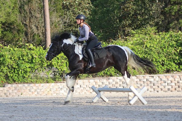 Kelsey jumps the first jump straight.