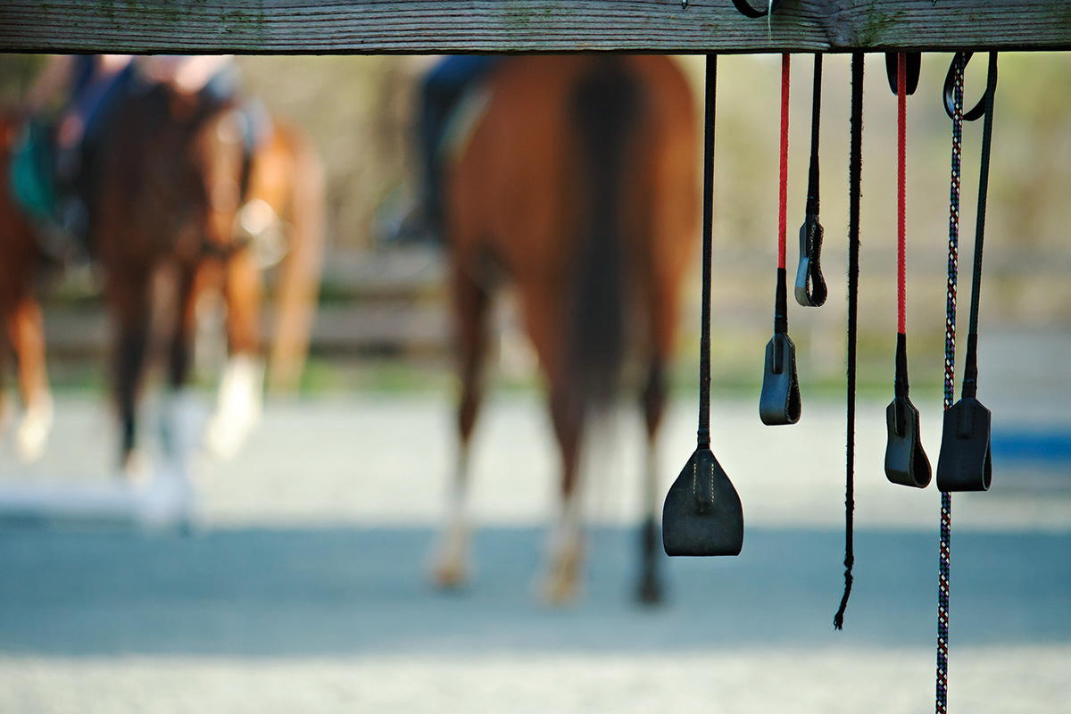 How to Carry a Riding Crop Young Rider Magazine