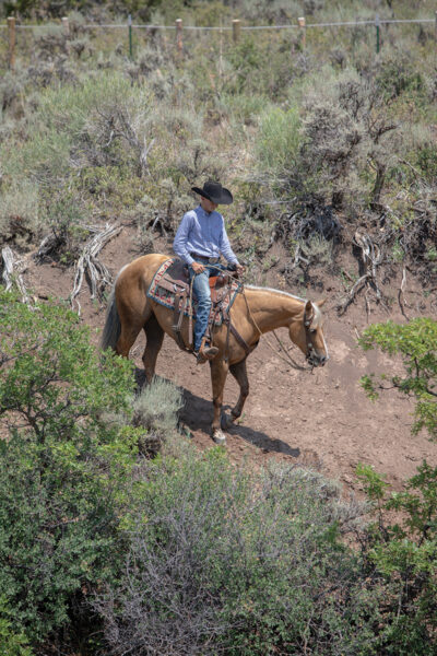 A young cowboy riding his horse down a hill