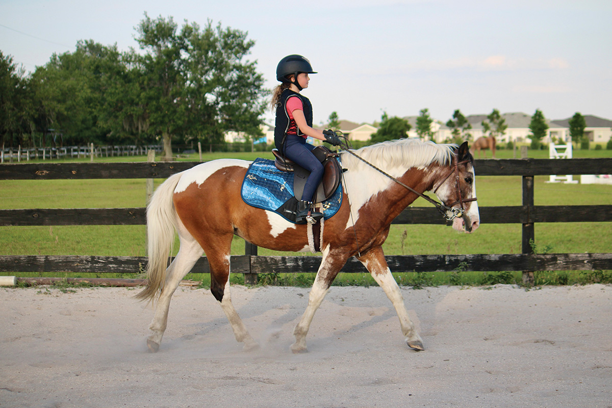 Riding The Trot