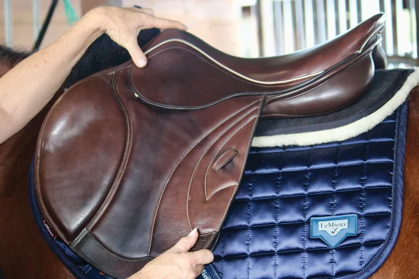Evaluating the fit of an English saddle.