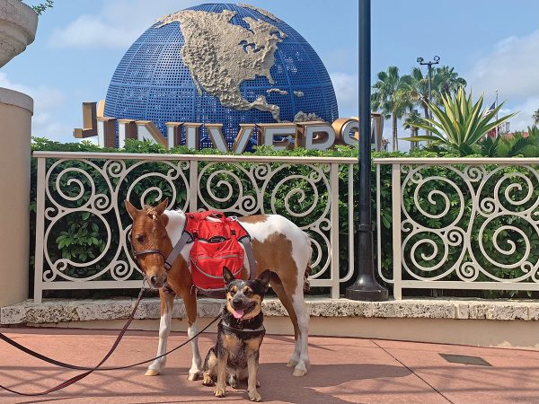 Honey and a dog at Universal Orlando.
