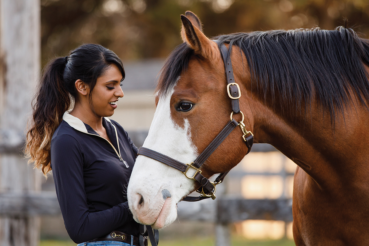 letting go of a special horse