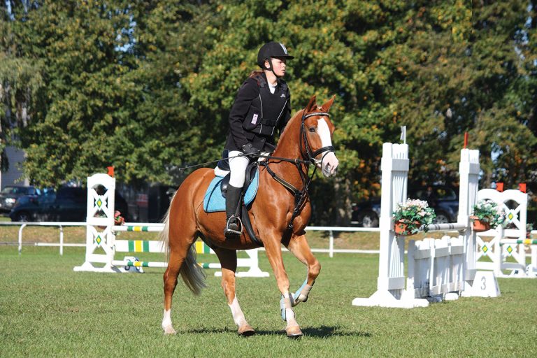 Using a Martingale Young Rider Magazine