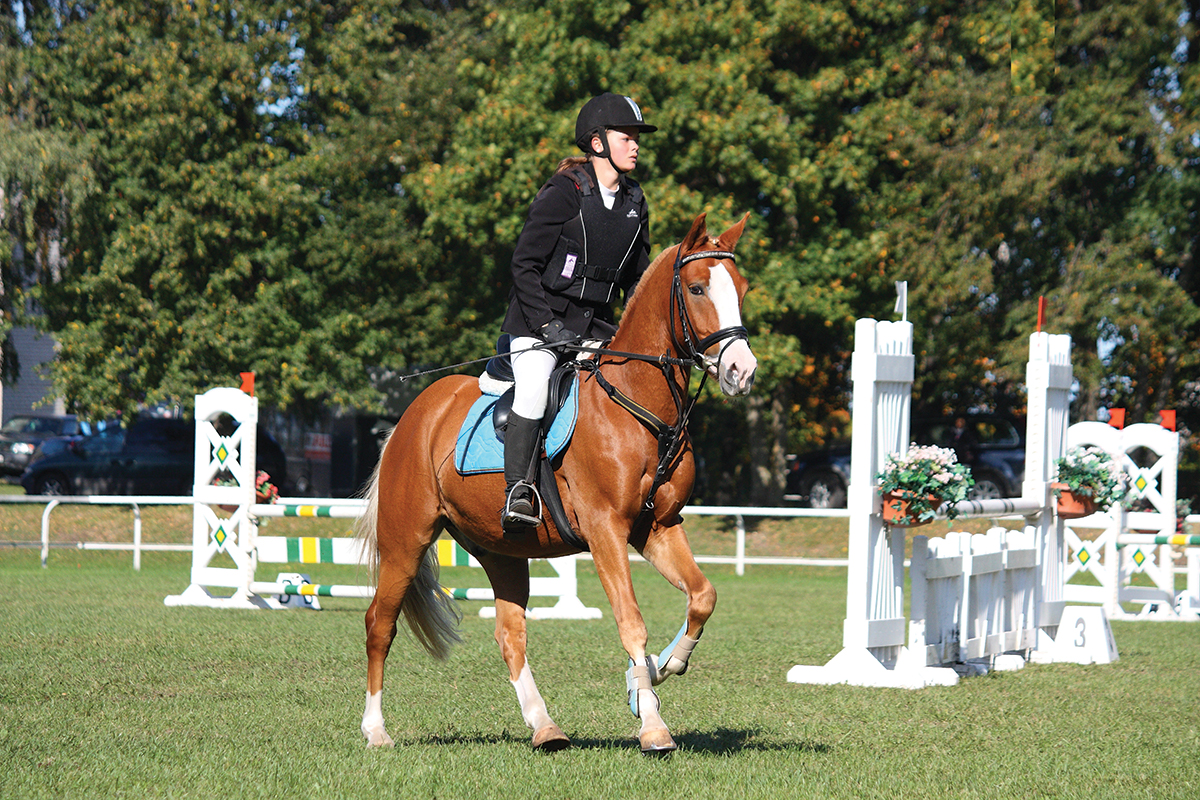 using a martingale