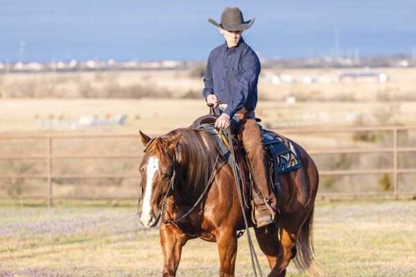 A western rider on his horse