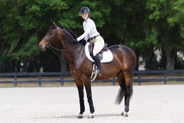 Esme on a hunter.