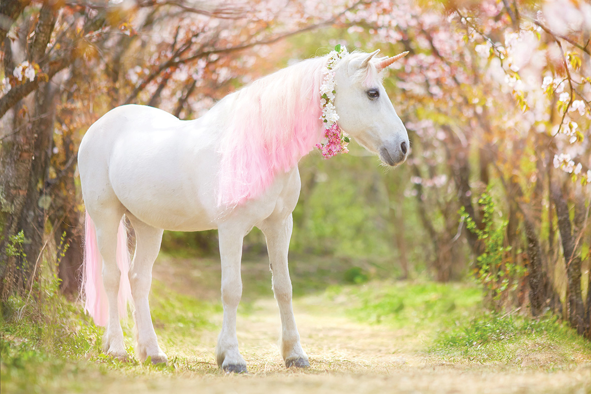 Register Your Horse as a Unicorn