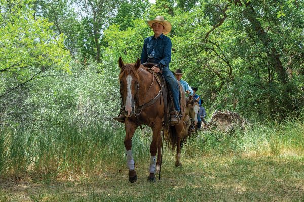 Trail riding in the woods.