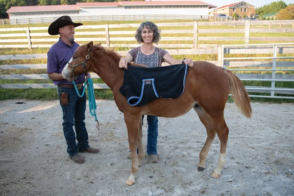 Lefty the miraculous foal showing how small the dog blanket he had to wear was.