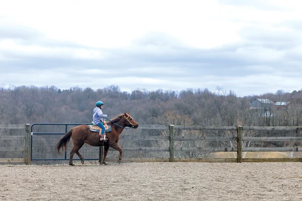 A young equestrian during a riding session.