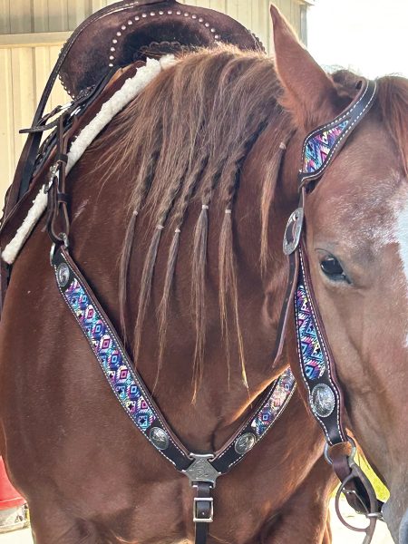 A SmarTack set on a horse.