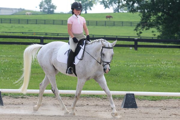 A young rider trots her horse and counts her trot strides, a key dressage tip