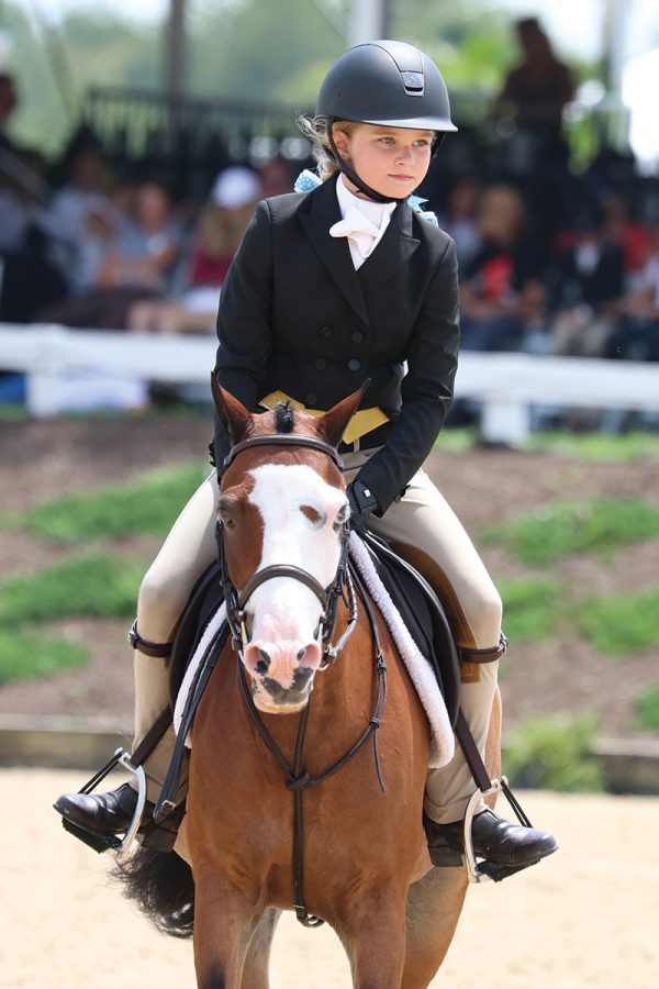 Using a Martingale Young Rider Magazine