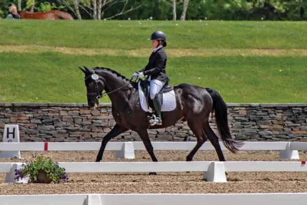 Ryleigh Koch riding Ruben at a dressage show.