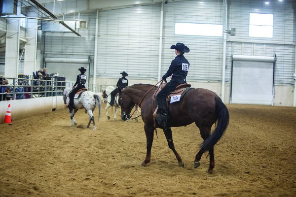 intercollegiate equestrian association