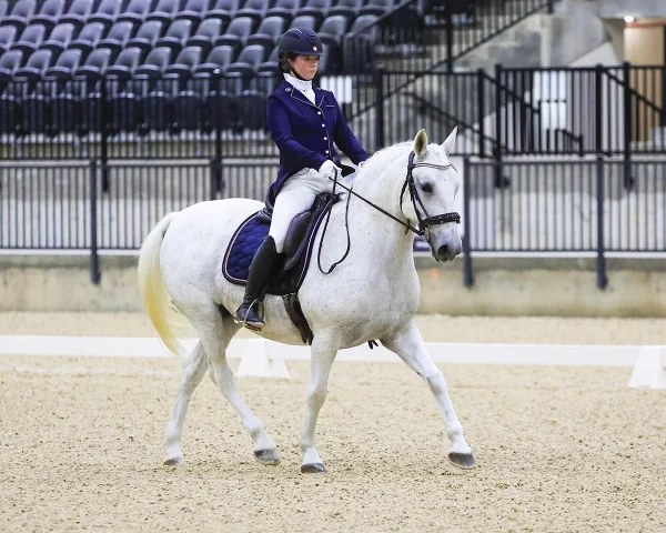 A young rider showing a gray in dressage..