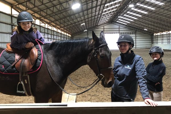 IEA team members work with a former Standardbred racehorse to train him for his new career.