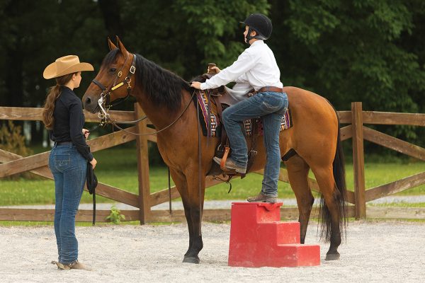 A young rider uses a mounting block as he learns how to mount a horse safely.
