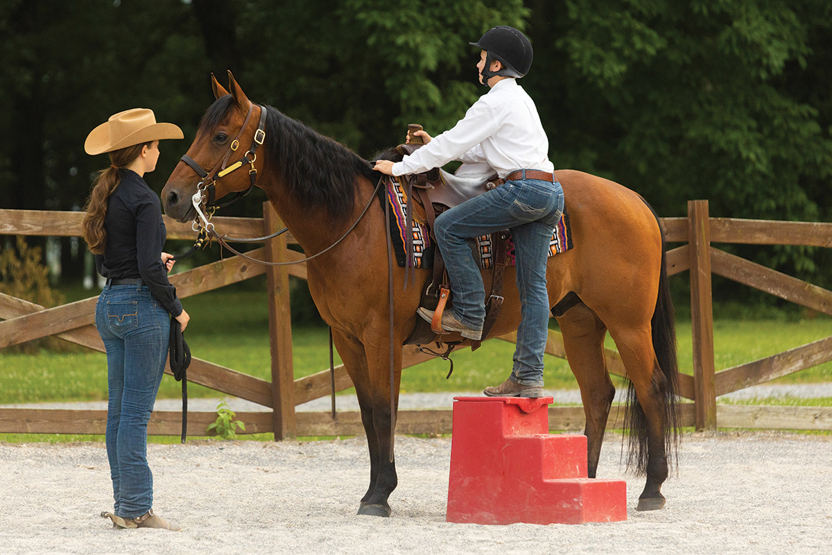 How to Mount and Dismount Your Horse