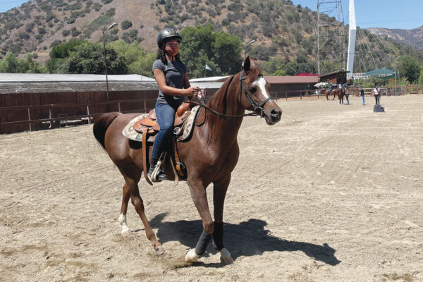 An equestrian takes a western riding lesson on an Arabian