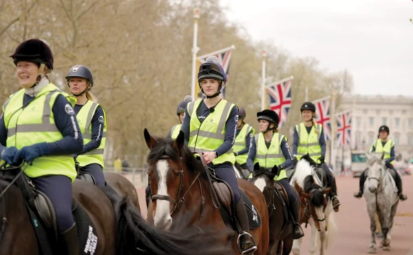 This Esme riding to the Houses of Parliament as part of a World Horse Welfare campaign, one of her featured fun facts.