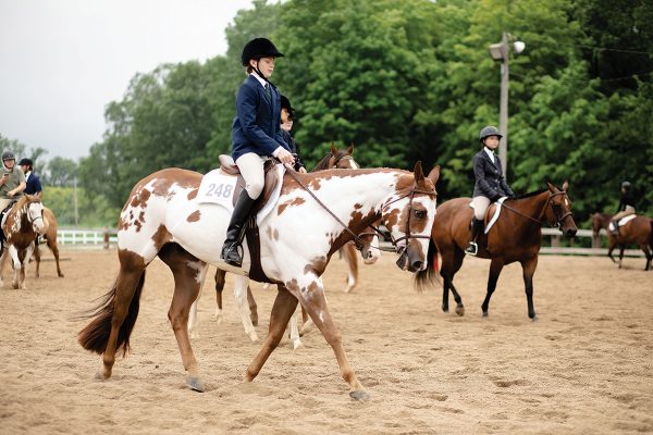 A male equestrian on a Paint Horse