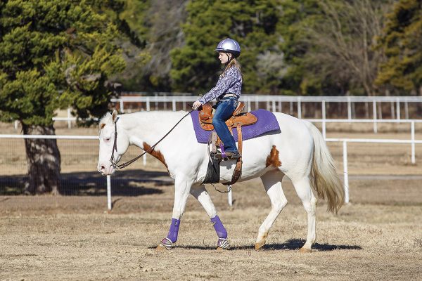 A young rider walks her horse in western tack