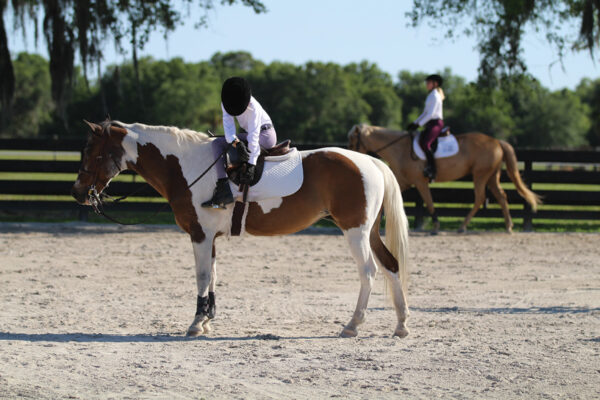 A rider practices good arena etiquette by going to the center of the ring to adjust her tack