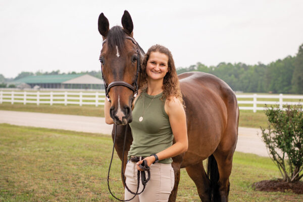 A barn manger with a bay horse