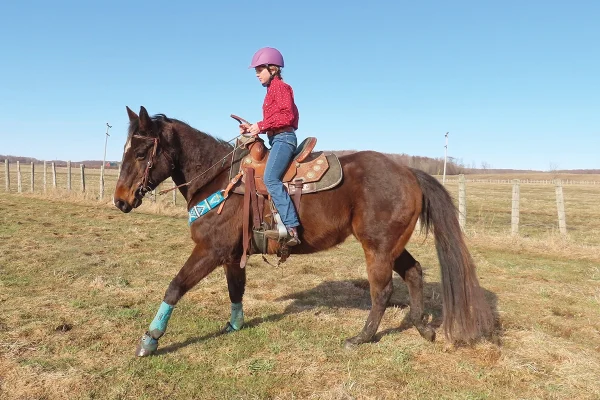 In the square exercise, Rosie uses her inside rein to guide Honky through the corner, and her outside heel pushes his front end. Honky plants his inside hind foot and pivots on it.