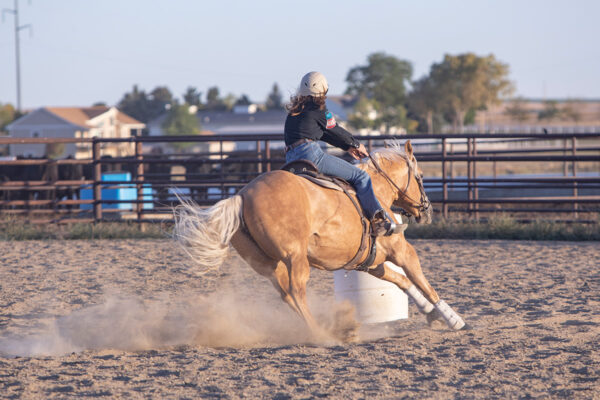 A barrel racing horse approaches a barrel with speed