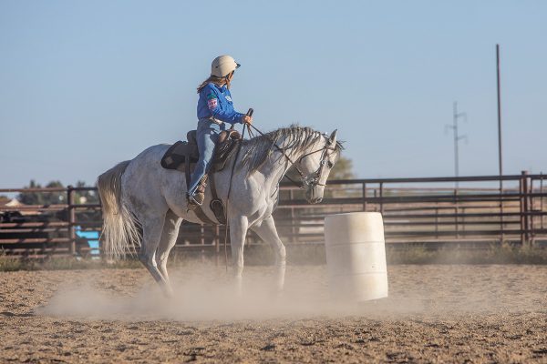 A young rider practices a pattern with her horse