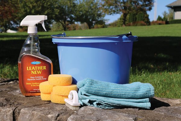 Bridle cleaning supplies