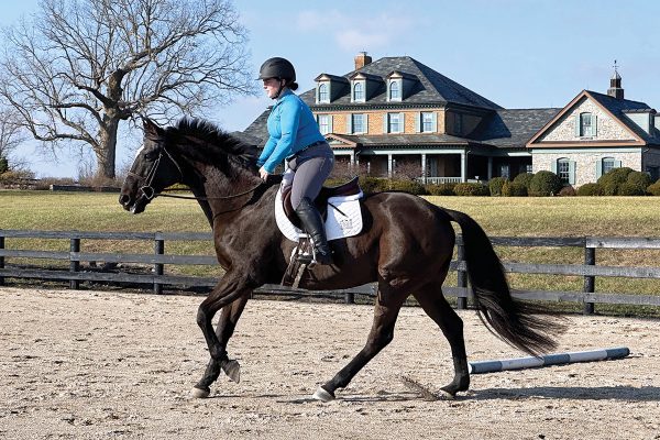 Canter Exercises for Adjustability
