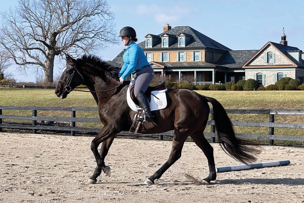 A rider demonstrating canter exercises on a horse