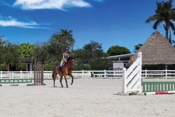 A rider counting strides in between jumps