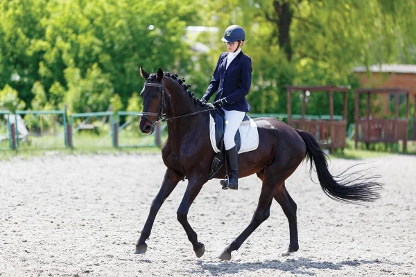 A horse and rider competing in dressage.