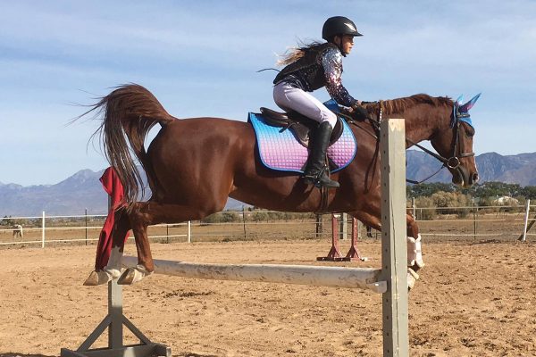 A young girl jumps her horse