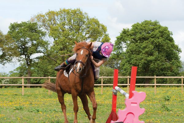 A girl falls off a horse at a jump