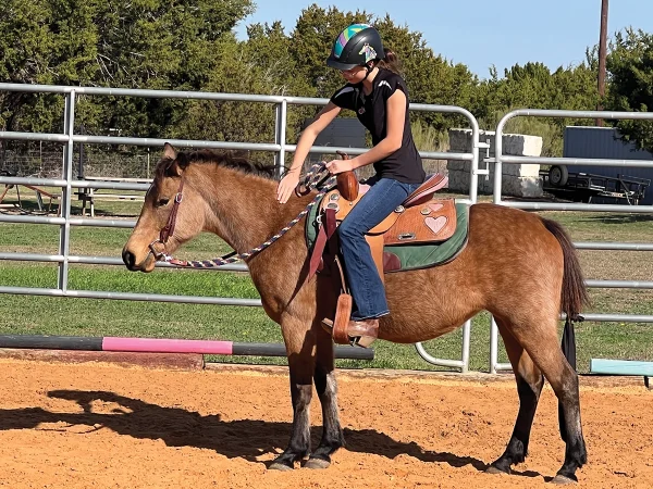 Finley works with a new sales project pony, Darla.