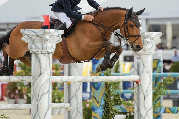 Show jumping, a great sport for a horse family to watch together.