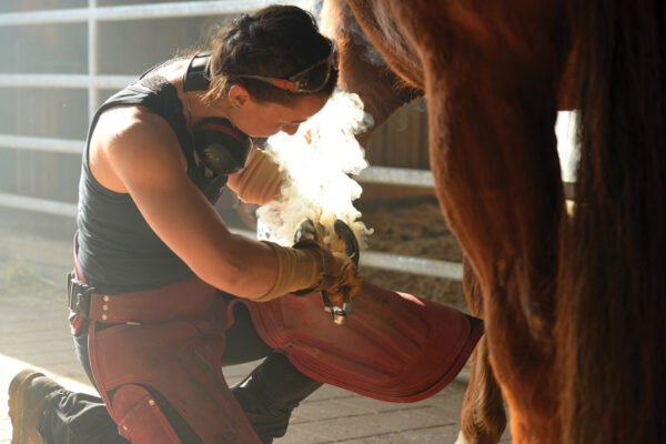A female farrier shoeing a horse. More women are entering this career.