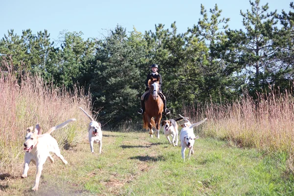 Ben riding on a fox hunt.