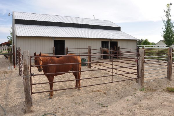 Sand in a horse pen to maintain green horsekeeping by keeping mud at bay