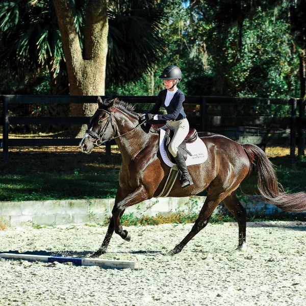 Eden begins cantering Picasso, with improvements needed.