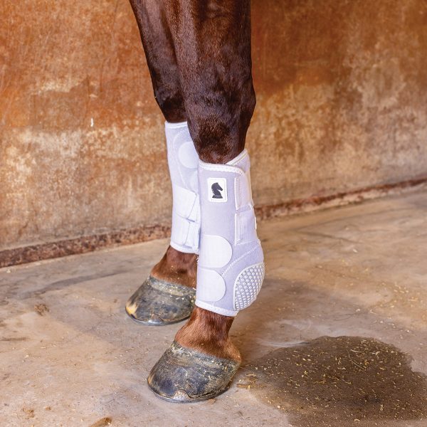 Sports medicine boots on a horse's legs.