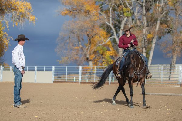 A western rider warming up